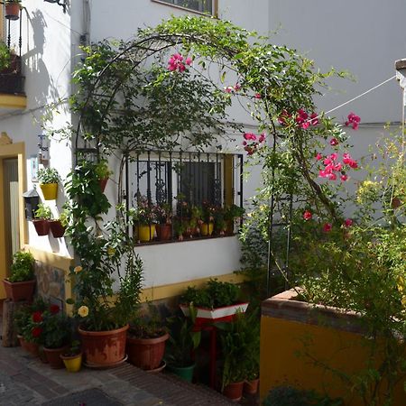Finca El Molino De Aceite Jubrique Esterno foto