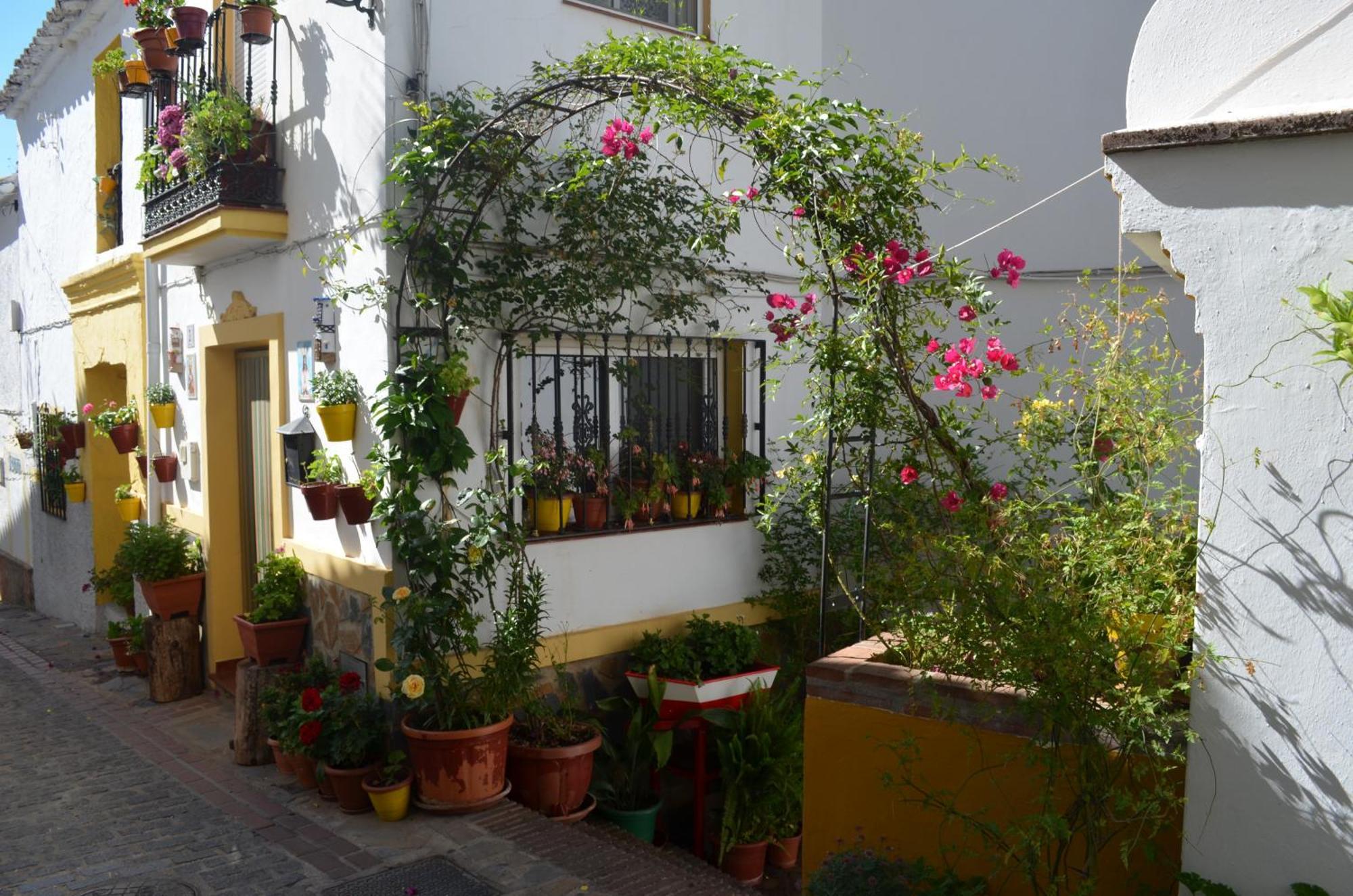 Finca El Molino De Aceite Jubrique Esterno foto