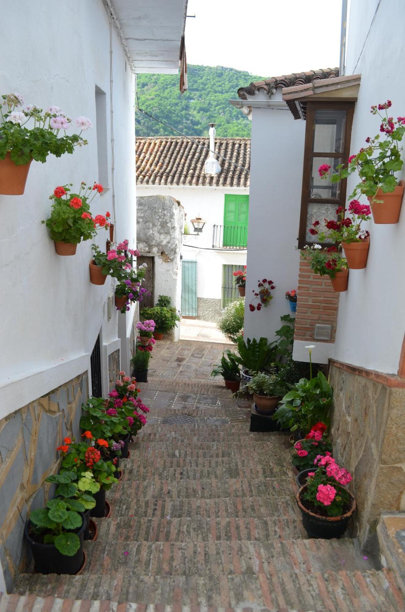 Finca El Molino De Aceite Jubrique Esterno foto