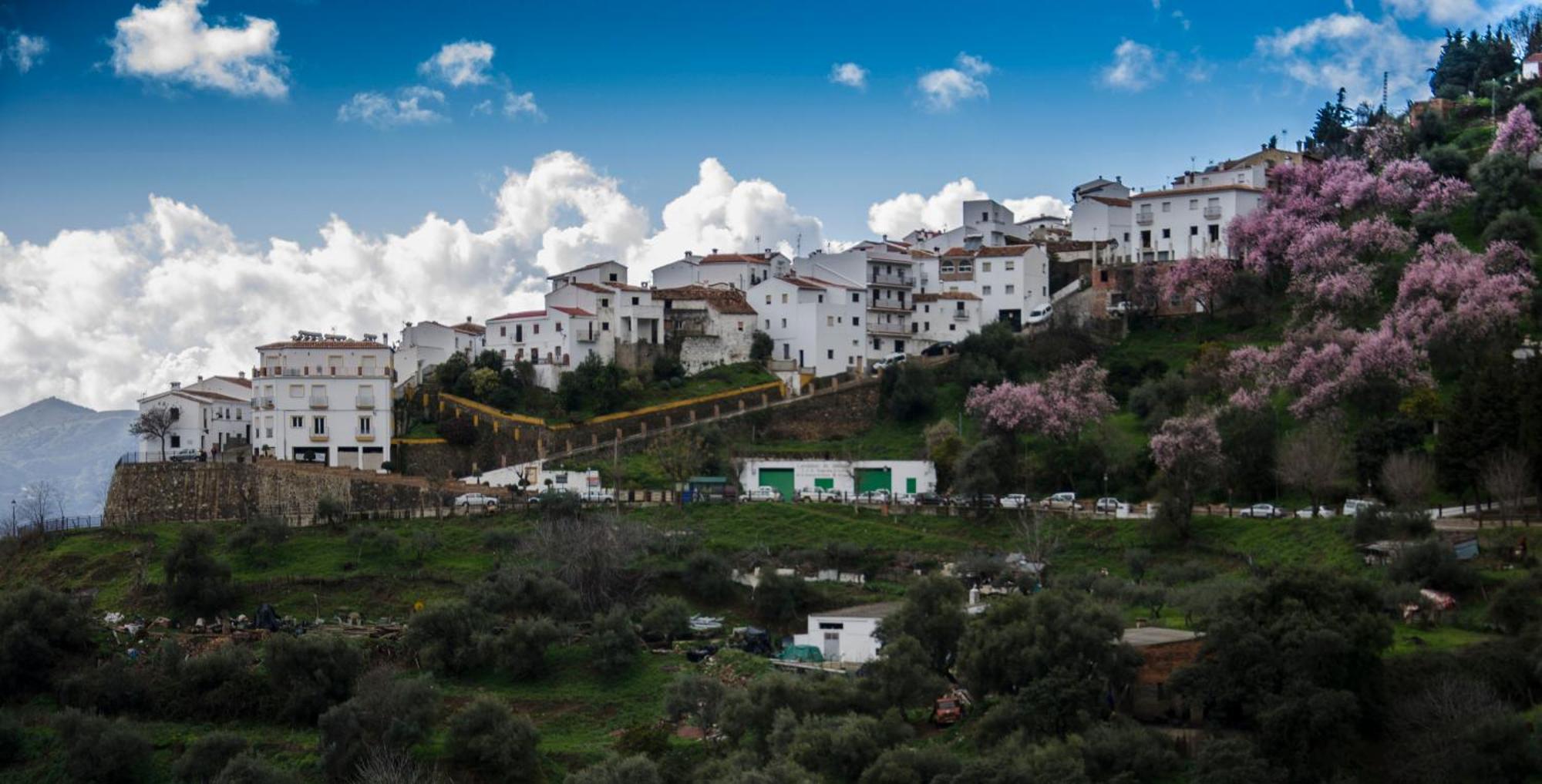 Finca El Molino De Aceite Jubrique Esterno foto