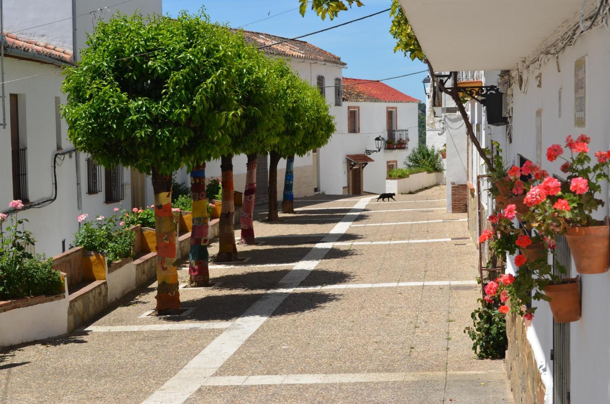 Finca El Molino De Aceite Jubrique Esterno foto